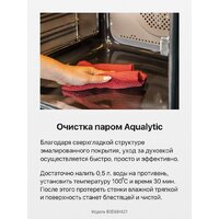 Электрический духовой шкаф Hansa BOEI684621 - Изображение №12 — Chaika Market
