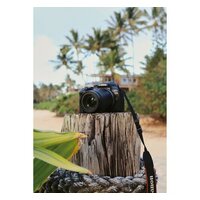 Беззеркальный фотоаппарат Canon EOS R10 RF-S 18-45mm F4.5-6.3 IS STM - Изображение №14 — Chaika Market