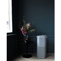 Очиститель воздуха Electrolux Pure A9 PA91-405GY - Изображение №14 — Chaika Market