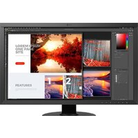 Монитор EIZO ColorEdge CS2740-BK — Chaika Market