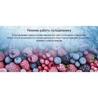 Холодильник MAUNFELD MFF180NFBE01 - Изображение №23 — Chaika Market