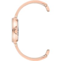 Наручные часы с украшением Anne Klein 3620WTST - Изображение №2 — Chaika Market