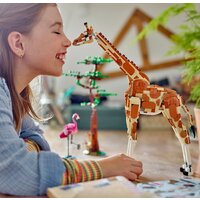 Конструктор LEGO Creator 31150 Дикие животные сафари - Изображение №9 — Chaika Market