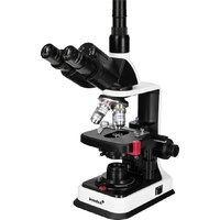 Микроскоп Levenhuk 450T тринокулярный 84463 — Chaika Market
