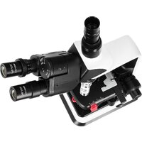 Микроскоп Levenhuk 450T тринокулярный 84463 - Изображение №7 — Chaika Market
