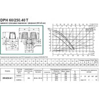 Циркуляционный насос DAB DPH 60/250.40 T - Изображение №3 — Chaika Market