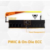 Оперативная память Patriot Viper Elite 5 RGB TUF Gaming Alliance 2x16ГБ DDR5 6000 МГц PVER532G60C36KT - Изображение №11 — Chaika Market
