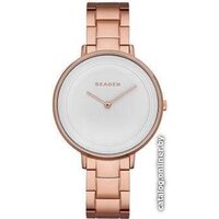 Наручные часы Skagen SKW2331 — Chaika Market