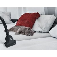 Пылесос Hoover TXL20PET 011 - Изображение №9 — Chaika Market
