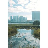 Объектив Panasonic Lumix S 28-200mm F/4-7.1 Macro O.I.S. - Изображение №12 — Chaika Market