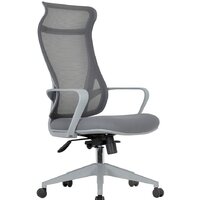 Офисное кресло CHAIRMAN CH577 (серый пластик/серый) - Изображение №1 — Chaika Market