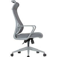 Офисное кресло CHAIRMAN CH577 (серый пластик/серый) - Изображение №2 — Chaika Market