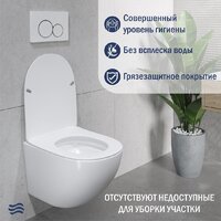 Унитаз подвесной Lauter Sulzdorf + 21901001 (белый с микролифтом) - Изображение №5 — Chaika Market
