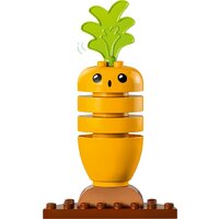 Конструктор LEGO Duplo 10984 Органический сад - Изображение №5 — Chaika Market