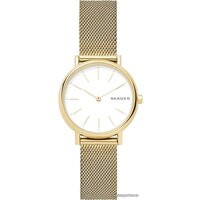 Наручные часы Skagen SKW2693 - Изображение №1 — Chaika Market