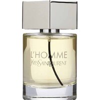 Туалетная вода Yves Saint Laurent L'Homme EdT (100 мл) — Chaika Market