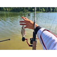 Удилище Волжанка Optima Evo Pro 13ft тест 90+гр 041-0117 (3.9м) - Изображение №6 — Chaika Market