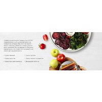 Сушилка для овощей и фруктов BQ FD9000 - Изображение №9 — Chaika Market