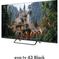 Телевизор Evo TV 43 Black TD0051752RU - Изображение №10 — Chaika Market