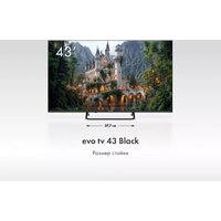 Телевизор Evo TV 43 Black TD0051752RU - Изображение №4 — Chaika Market