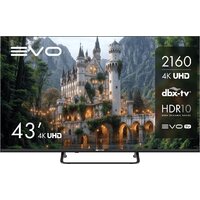 Телевизор Evo TV 43 Black TD0051752RU — Chaika Market