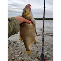 Удилище Волжанка Optima Evo Pro 10ft тест 25+гр 041-0111 (3м) - Изображение №5 — Chaika Market