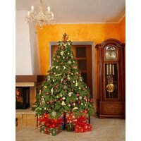 Ель National Tree Company Эверест ЭВ-210 (210 см) - Изображение №5 — Chaika Market