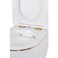 Унитаз подвесной Roxen Antares Gold в комплекте с инсталляцией StounFix Dual Fresh 6 в 1 850609 (кнопка: белый глянец) - Изображение №8 — Chaika Market