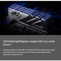 Оперативная память Apacer Panther 2x32ГБ DDR5 6000 МГц AH5U64G60C6227BAA-2 - Изображение №9 — Chaika Market
