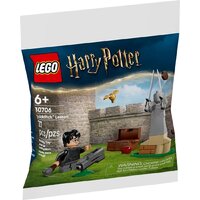 Конструктор LEGO Harry Potter 30706 Урок по квиддичу — Chaika Market