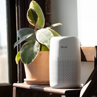 Очиститель воздуха Levoit Core Mini - Изображение №5 — Chaika Market