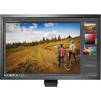 Монитор EIZO ColorEdge CS2420-BK — Chaika Market
