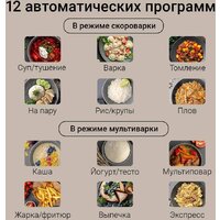 Мультиварка-скороварка Redmond (Редмонд) Fast Chef MP113 - Изображение №4 — Chaika Market