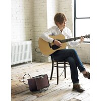 Комбоусилитель Roland AC-33 - Изображение №17 — Chaika Market