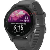 Умные часы Garmin Forerunner 255 (сланцево-серый/черный) — Chaika Market