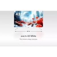 Телевизор Evo TV 43 White TD0051750RU - Изображение №5 — Chaika Market
