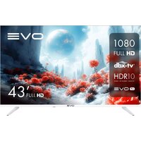 Телевизор Evo TV 43 White TD0051750RU — Chaika Market