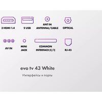 Телевизор Evo TV 43 White TD0051750RU - Изображение №9 — Chaika Market
