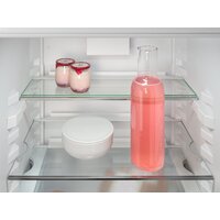 Однокамерный холодильник Liebherr IRDe 5121 Plus - Изображение №12 — Chaika Market