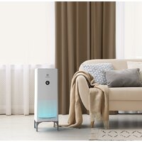 Очиститель воздуха Electrolux EAP-2050D Yin&Yang - Изображение №8 — Chaika Market