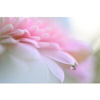 Беззеркальный фотоаппарат Nikon Z6 III Kit 24-120mm f/4 S - Изображение №30 — Chaika Market