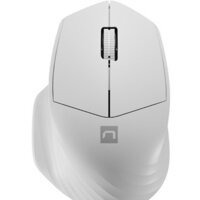 Мышь Natec Siskin 2 (белый) — Chaika Market