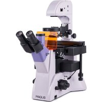 Микроскоп Magus Lum V500L 82909 — Chaika Market