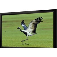 Проекционный экран Seemax Highland 16:9 305x229 — Chaika Market