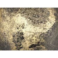 Бра Odeon Light Bergi 5064/1W - Изображение №9 — Chaika Market