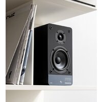 Полочная акустика Radiotehnika S-10N - Изображение №4 — Chaika Market