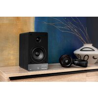 Полочная акустика Radiotehnika S-10N - Изображение №6 — Chaika Market