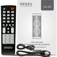 Патибокс Ginzzu GM-205 - Изображение №7 — Chaika Market