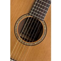 Акустическая гитара Baton Rouge X11C/F - Изображение №6 — Chaika Market