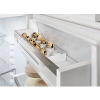 Однокамерный холодильник Liebherr SRBsfe 5220 Plus BioFresh 5220-20001 - Изображение №15 — Chaika Market